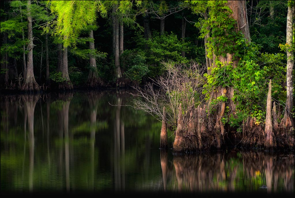 Pine River Fine Photograpphy